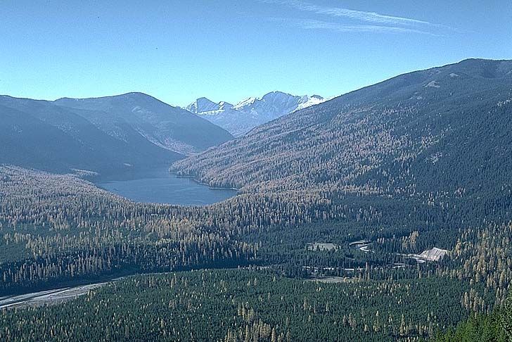 Flathead National Forest, MT