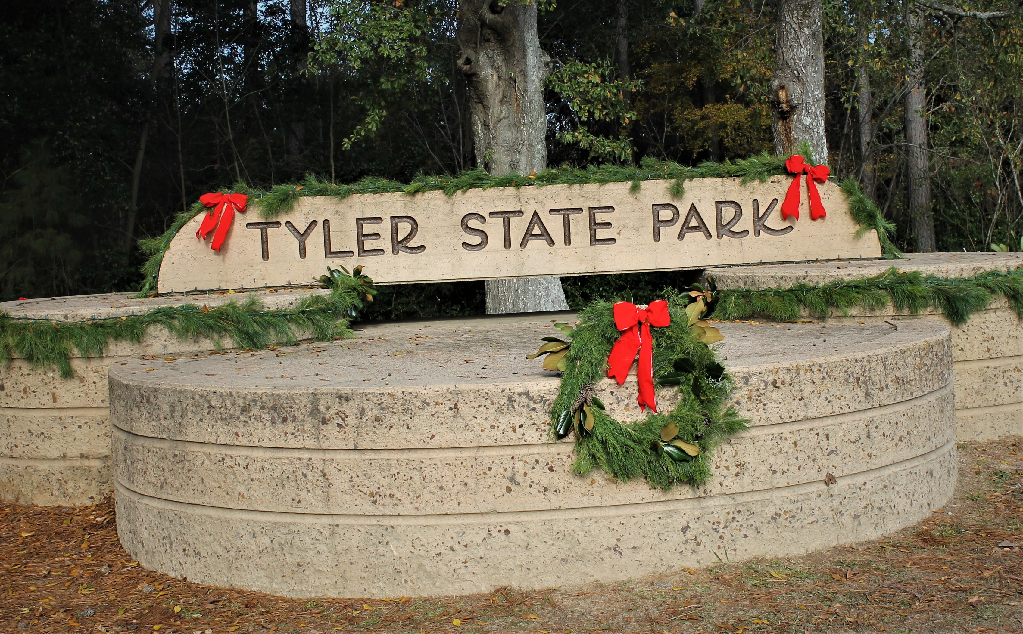 tyler state park, texas