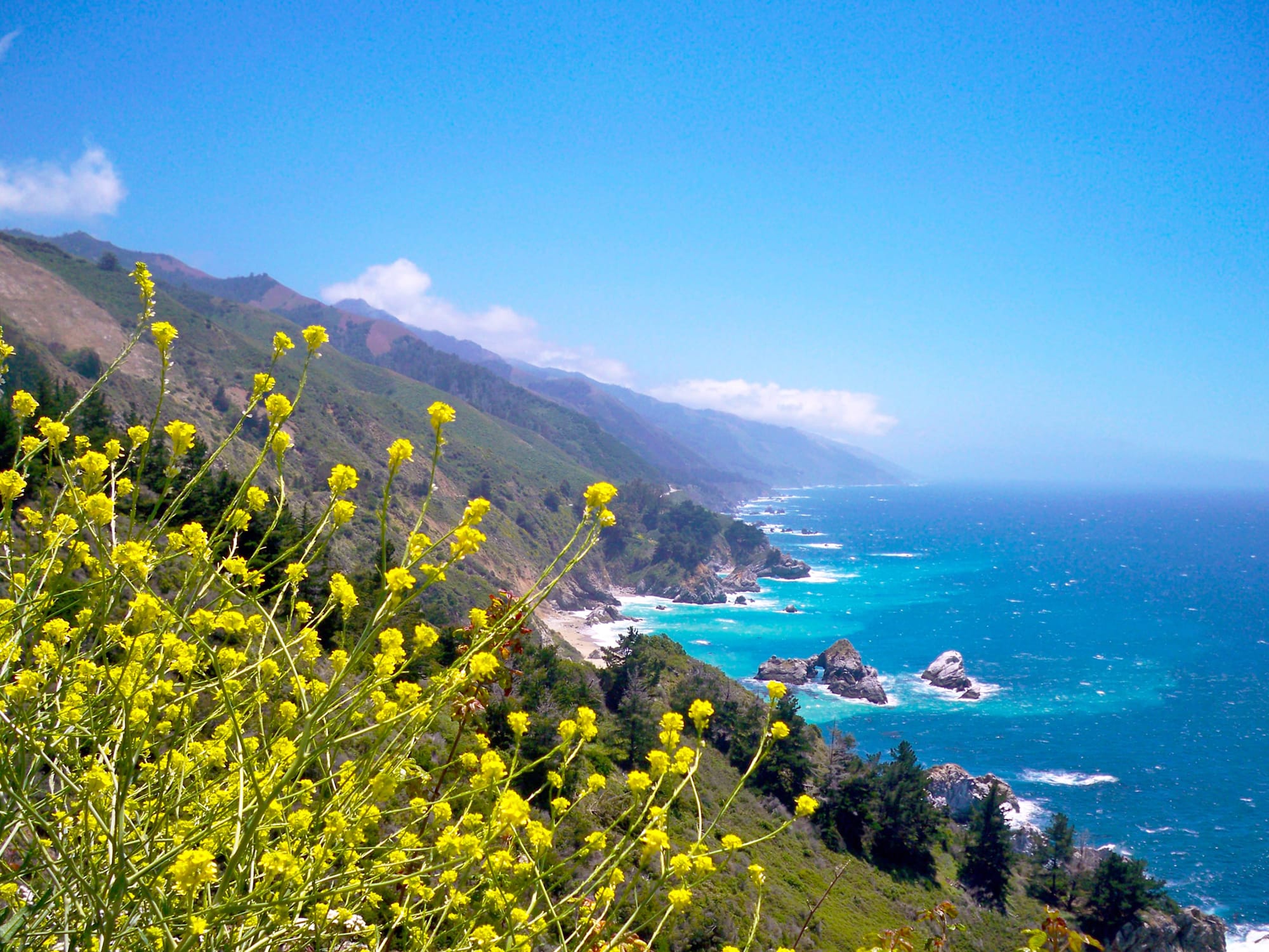 United States Big Sur