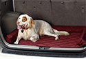 Covercraft Pet Pad