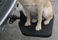 PortablePET Twistep SUV Pet Step