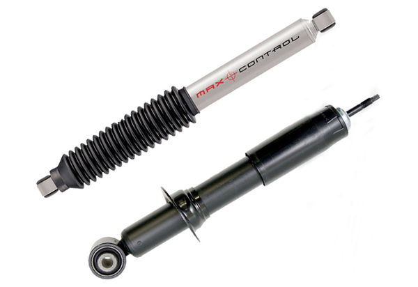 Gabriel Max Control Shocks