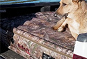 AirBedz Truck Bed Camo Air Mattress