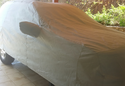 Customer Submitted Photo: Covercraft Noah Car Cover