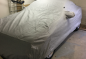 Customer Submitted Photo: Covercraft Noah Car Cover