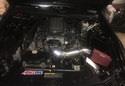 Customer Submitted Photo: Spectre Cold Air Intake